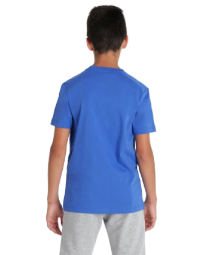 Футболка Arena TEAM T-SHIRT PANEL (004918-800) розмір 10