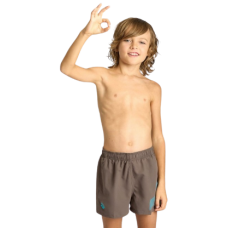 Шорти Arena BEACH SHORT LOGO R (006446-681) розмір 12