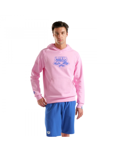 Худі Arena HOODED SWEAT ARENA LOGO (010197-900) розмір S