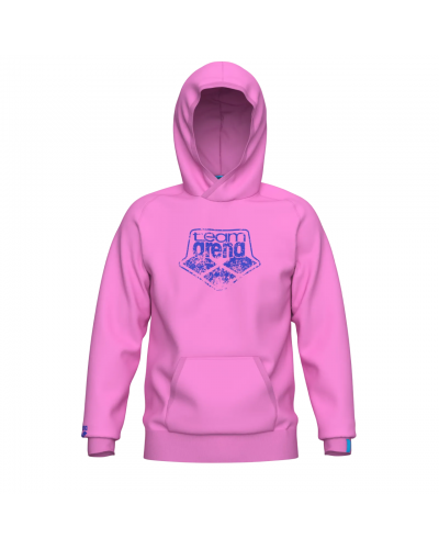 Худі Arena HOODED SWEAT ARENA LOGO (010197-900) розмір S
