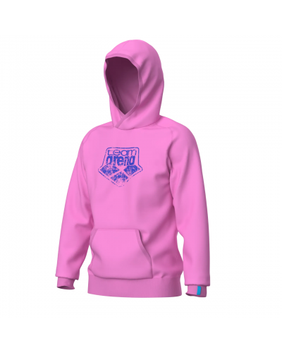 Худі Arena HOODED SWEAT ARENA LOGO (010197-900) розмір S